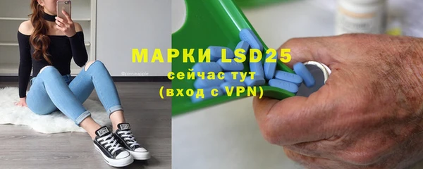 PSILOCYBIN Ладушкин