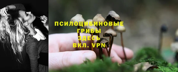 меф Куйбышев
