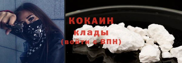 PSILOCYBIN Ладушкин