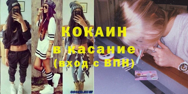 гашик Кулебаки