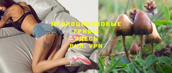 гашик Кулебаки