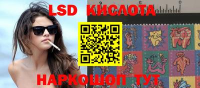 ПСИЛОЦИБИНОВЫЕ ГРИБЫ Аргун