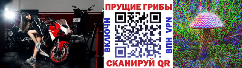продажа наркотиков  Белгород  Псилоцибиновые грибы GOLDEN TEACHER 