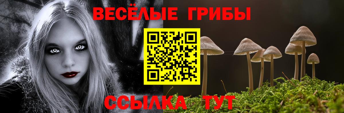 Галлюциногенные грибы Psilocybe  продажа наркотиков  Галлюциногенные грибы Psilocybe  Белгород  Вход с VPN 