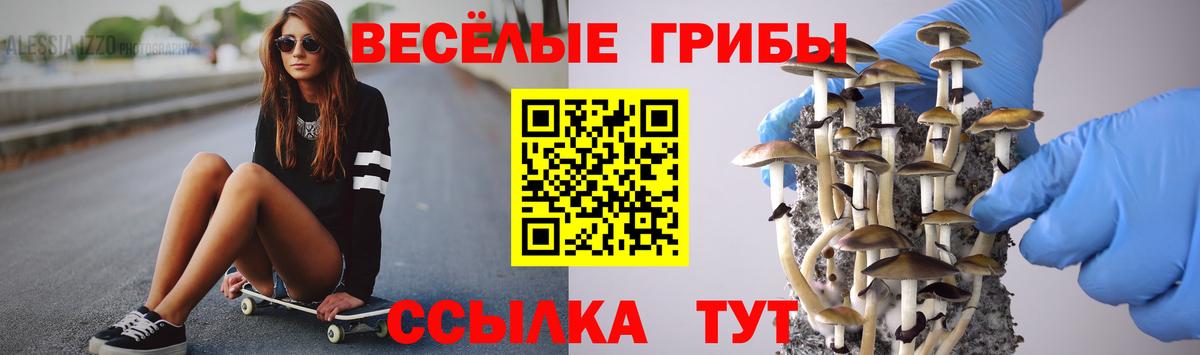 Псилоцибиновые грибы Psilocybine cubensis  купить наркоту  Белгород 